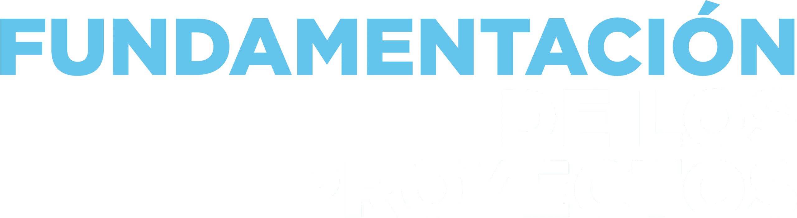 Fundamentos de los proyectos de Hacemos